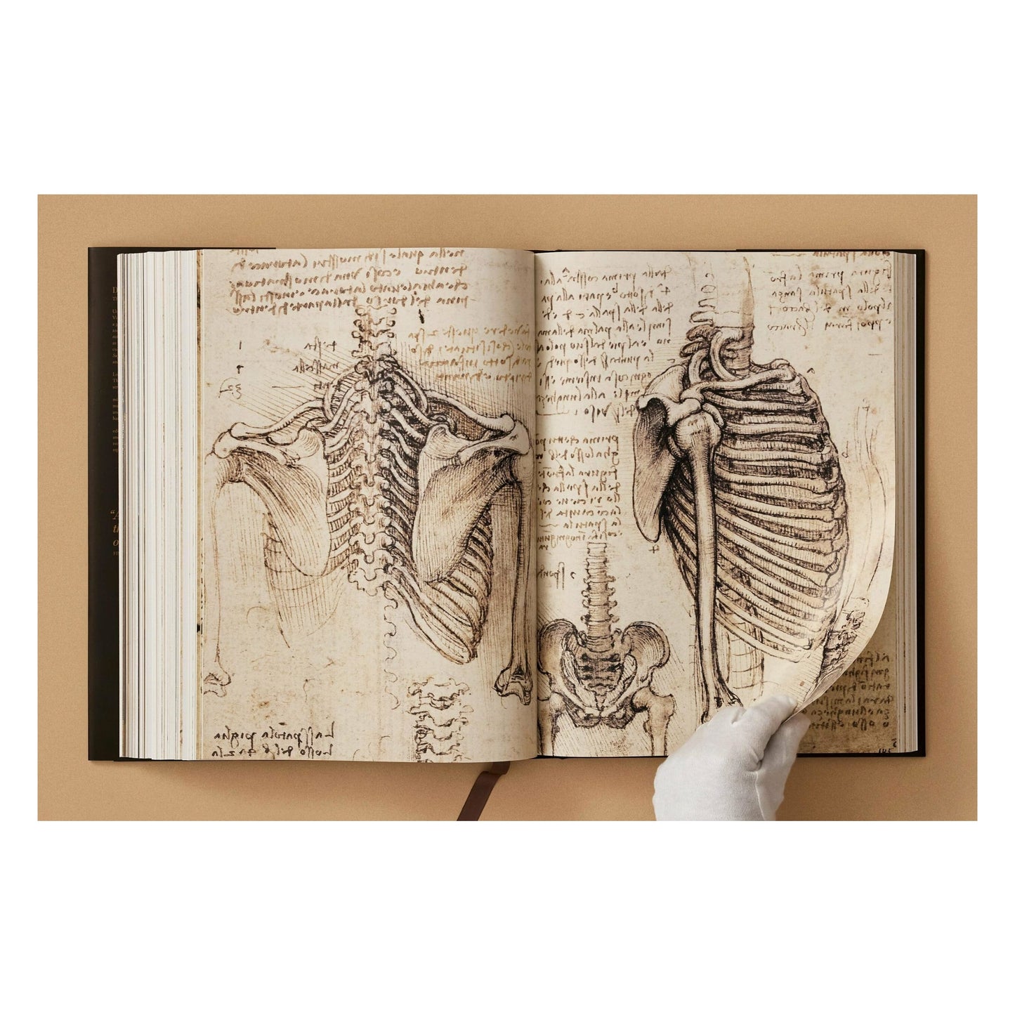 Leonardo. The Complete Paintings and Drawings (English)