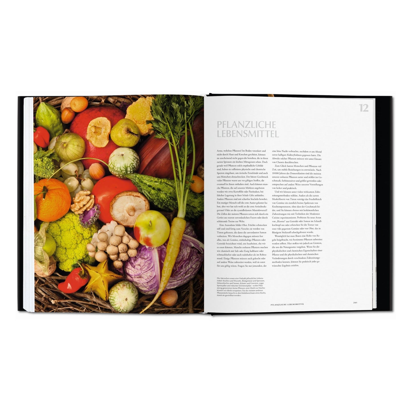 Modernist Cuisine. Die Revolution der Kochkunst (German)