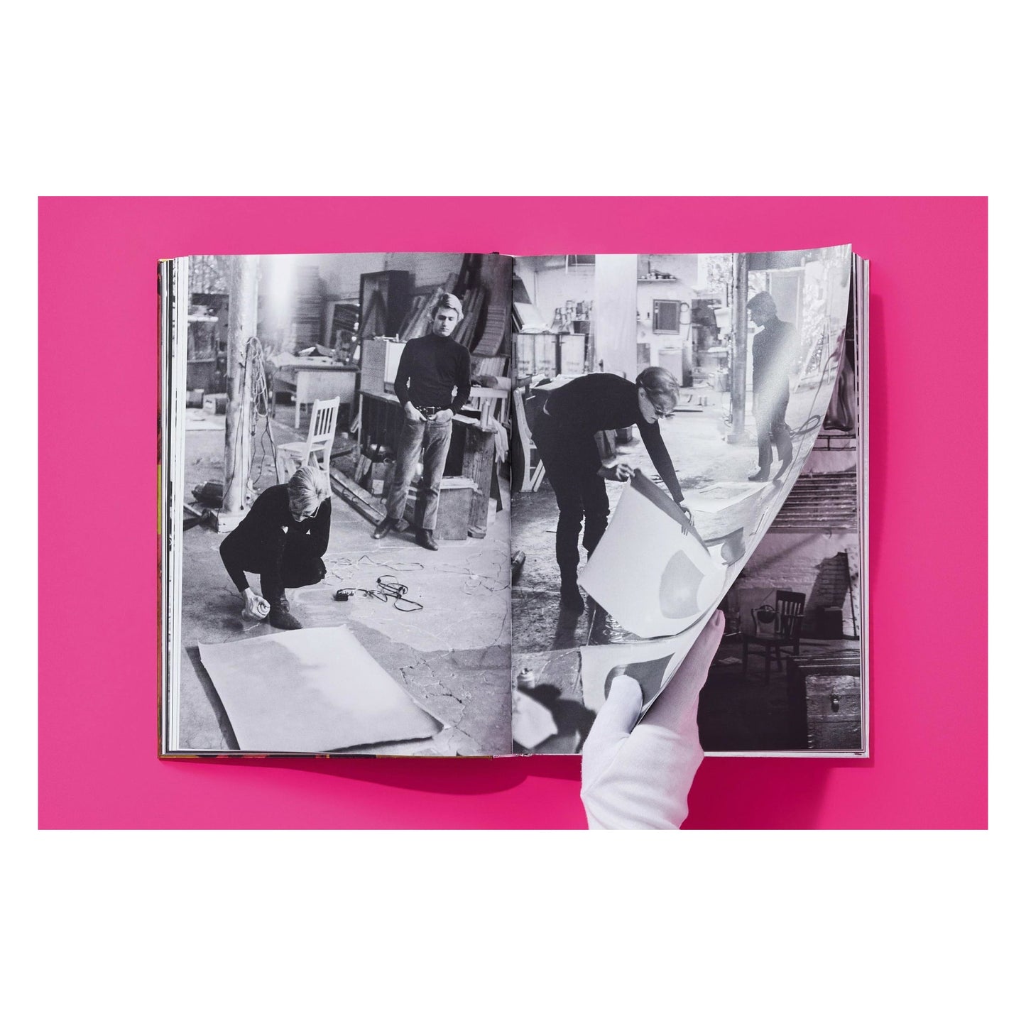 Steve Schapiro. Andy Warhol and Friends (English) (AP)