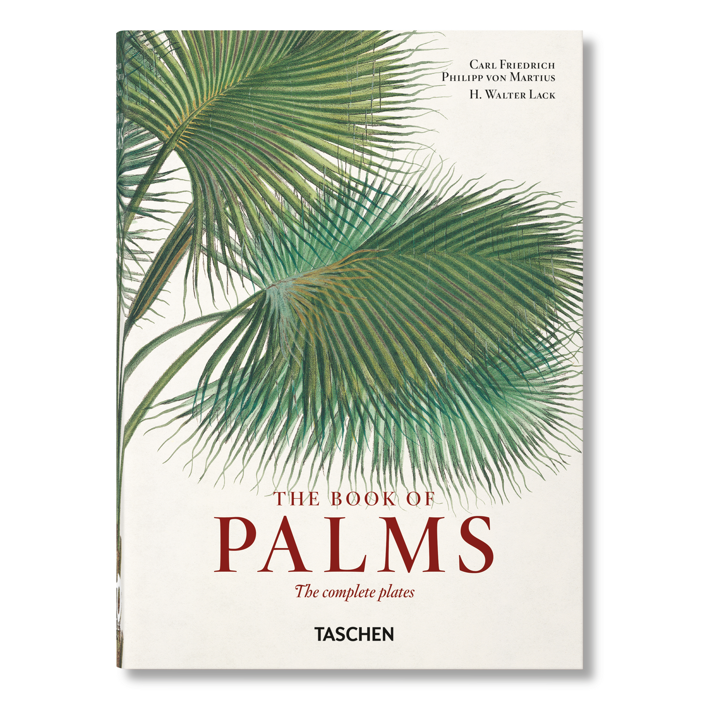 Martius. The Book of Palms. 45th Ed. (German, French, English)