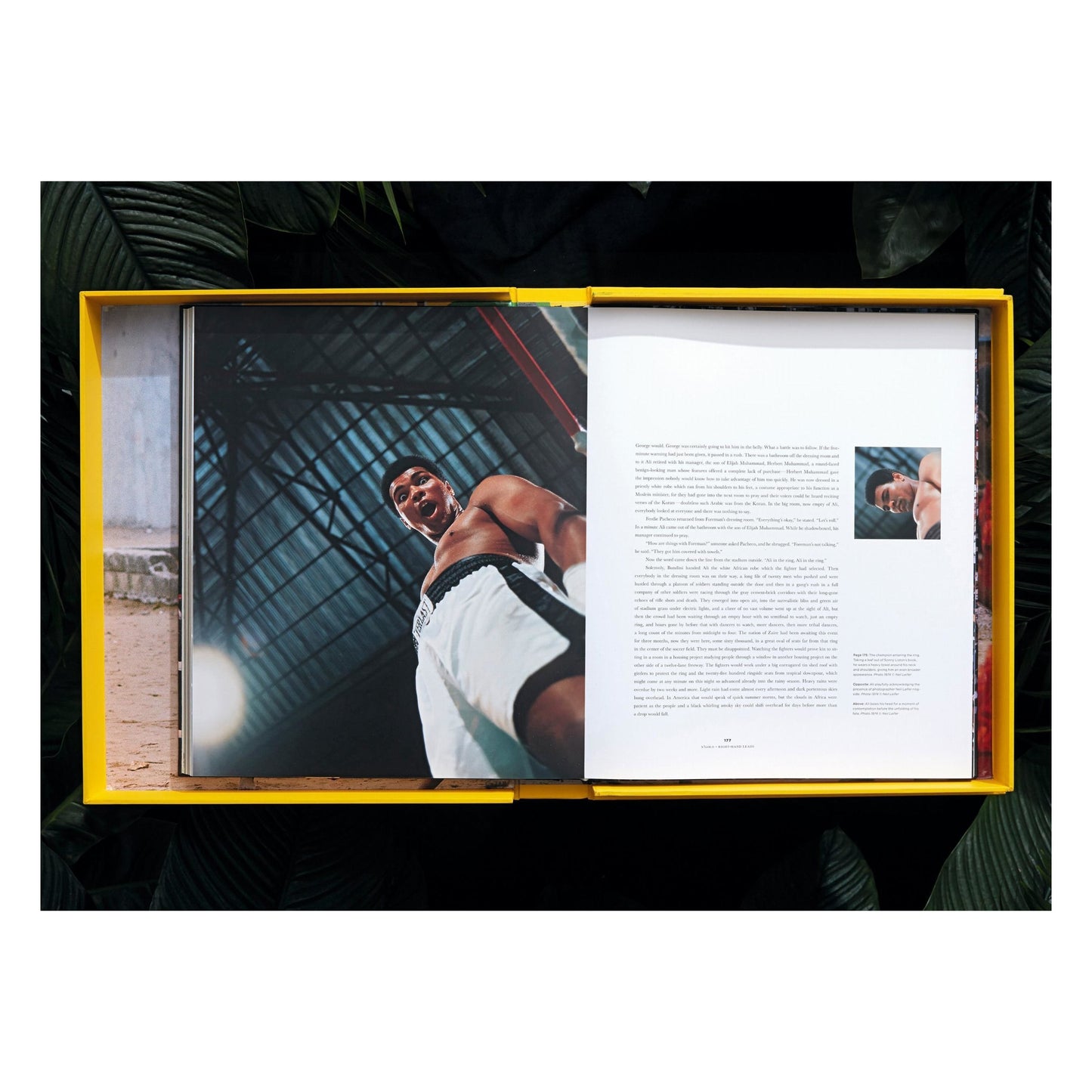 Norman Mailer. N.Leifer. H.Bingham. The Fight. Art Edition No. 126–250, Neil Leifer ‘Ali vs Foreman – Foreman Being Counted Out’ (English)