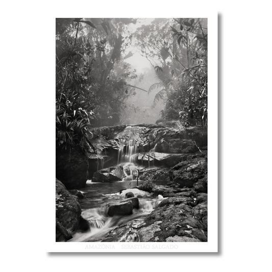 Sebastião Salgado. Amazônia. Poster ‘Creek’
