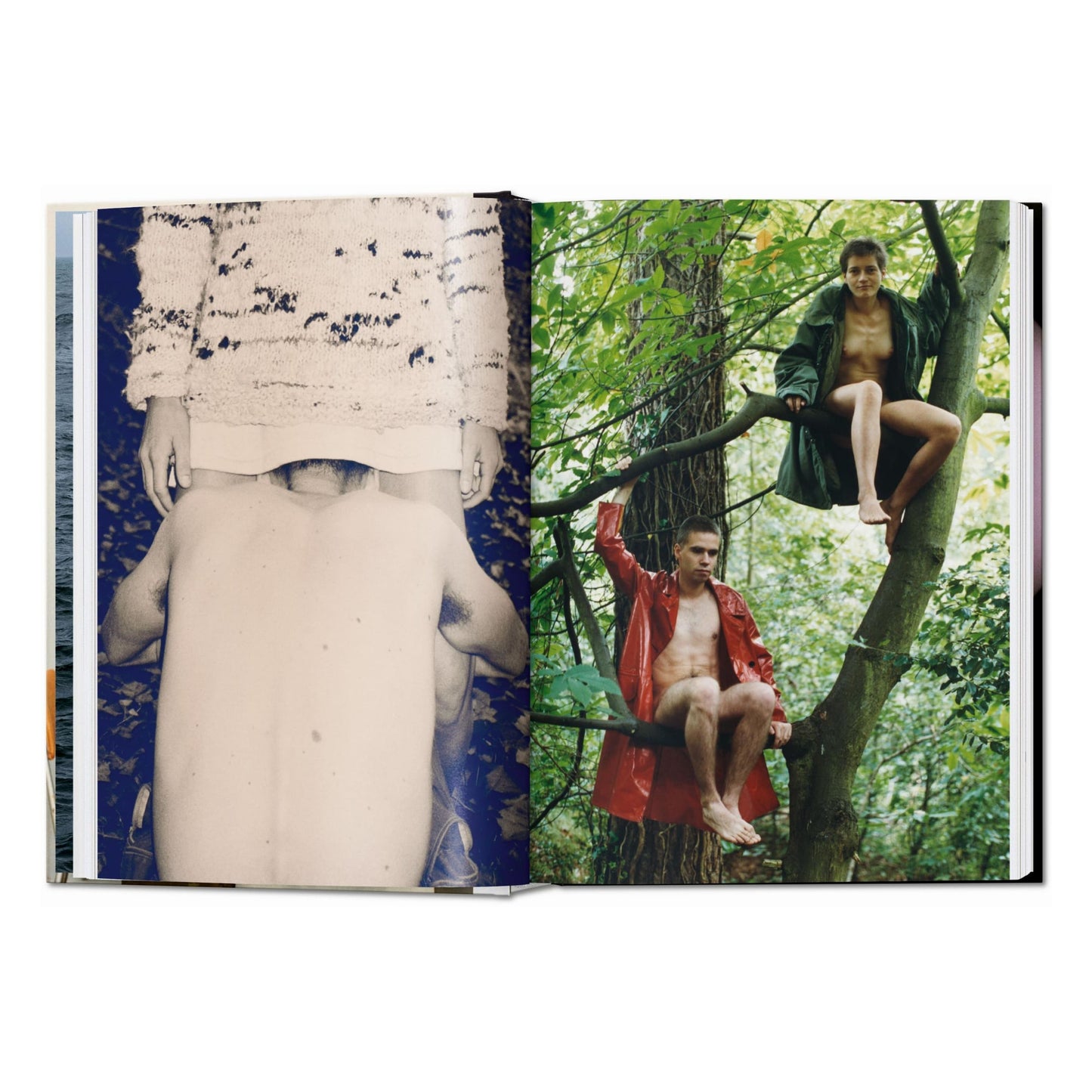 Wolfgang Tillmans. four books. 45th Ed. (English)