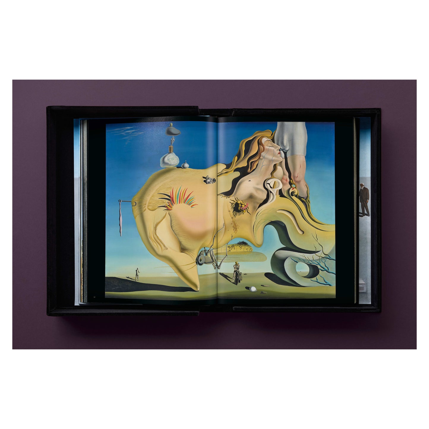 Dalí. BABY SUMO (English)