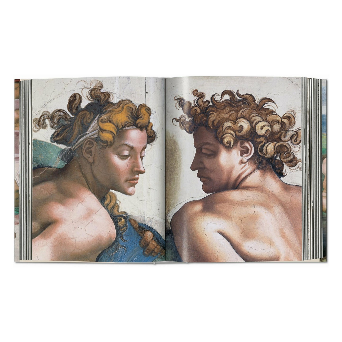 Michelangelo. Das vollständige Werk. Malerei, Skulptur, Architektur (German)
