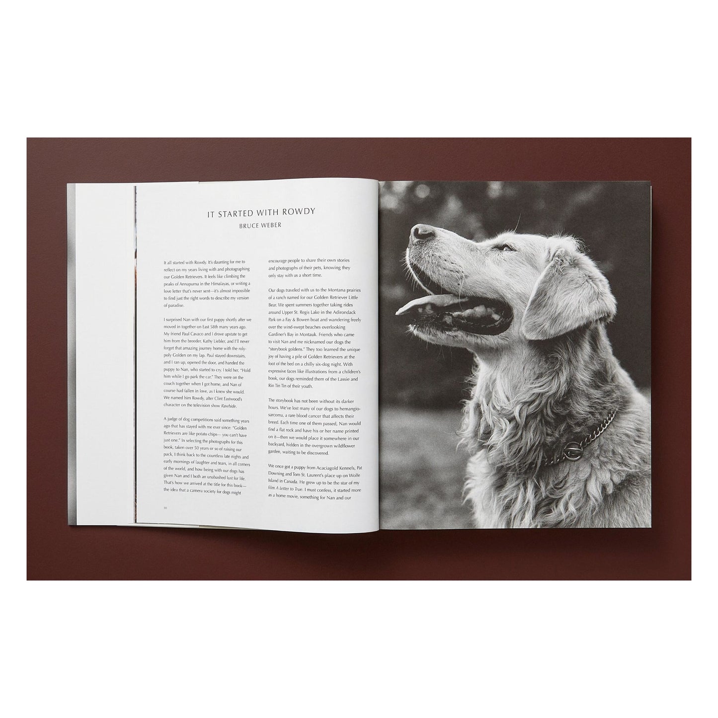 Bruce Weber. The Golden Retriever Photographic Society. Art Edition No. 1–100 ‘Little Bear Ranch, Montana, 1996’ (German, French, English) (AP)