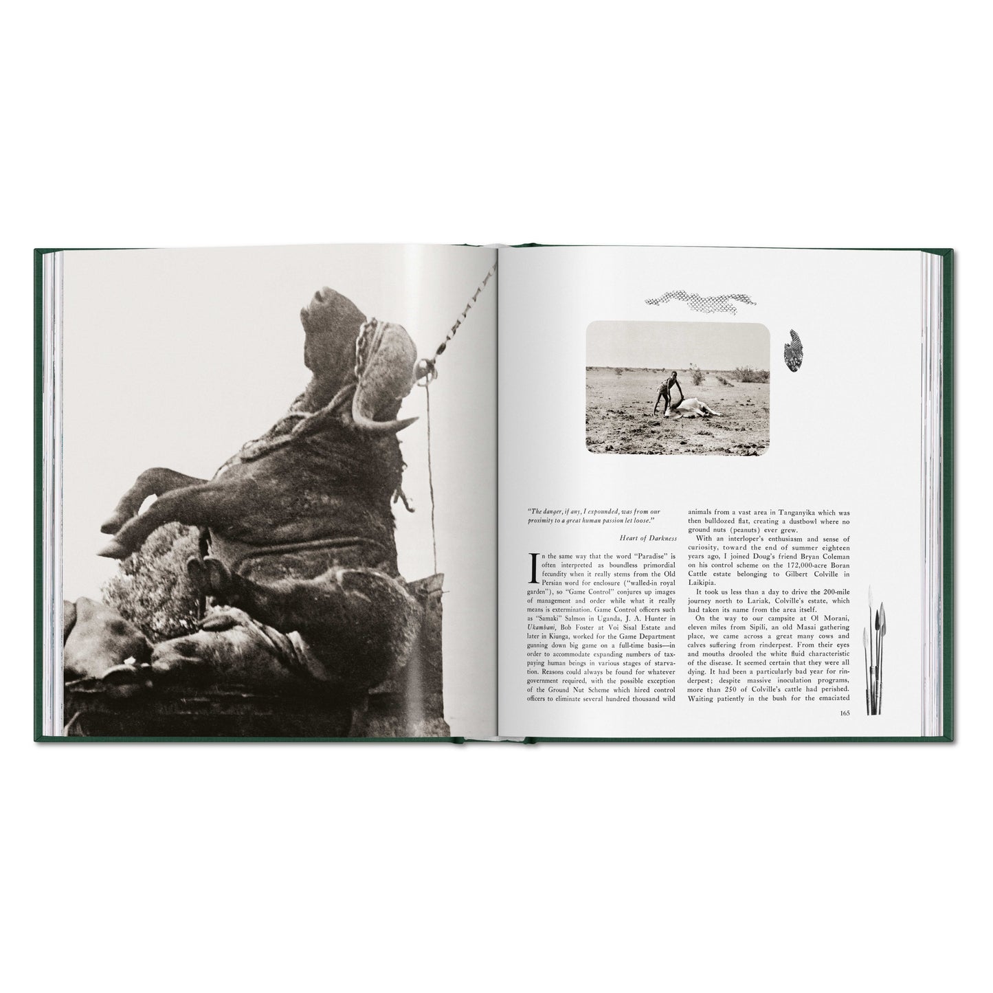 Peter Beard. The End of the Game (English)