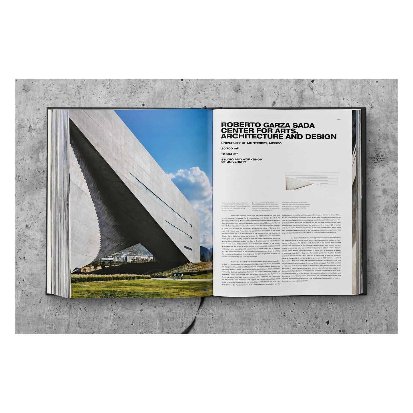 Ando. Complete Works 1975–Today. 2023 Edition (German, French, English)