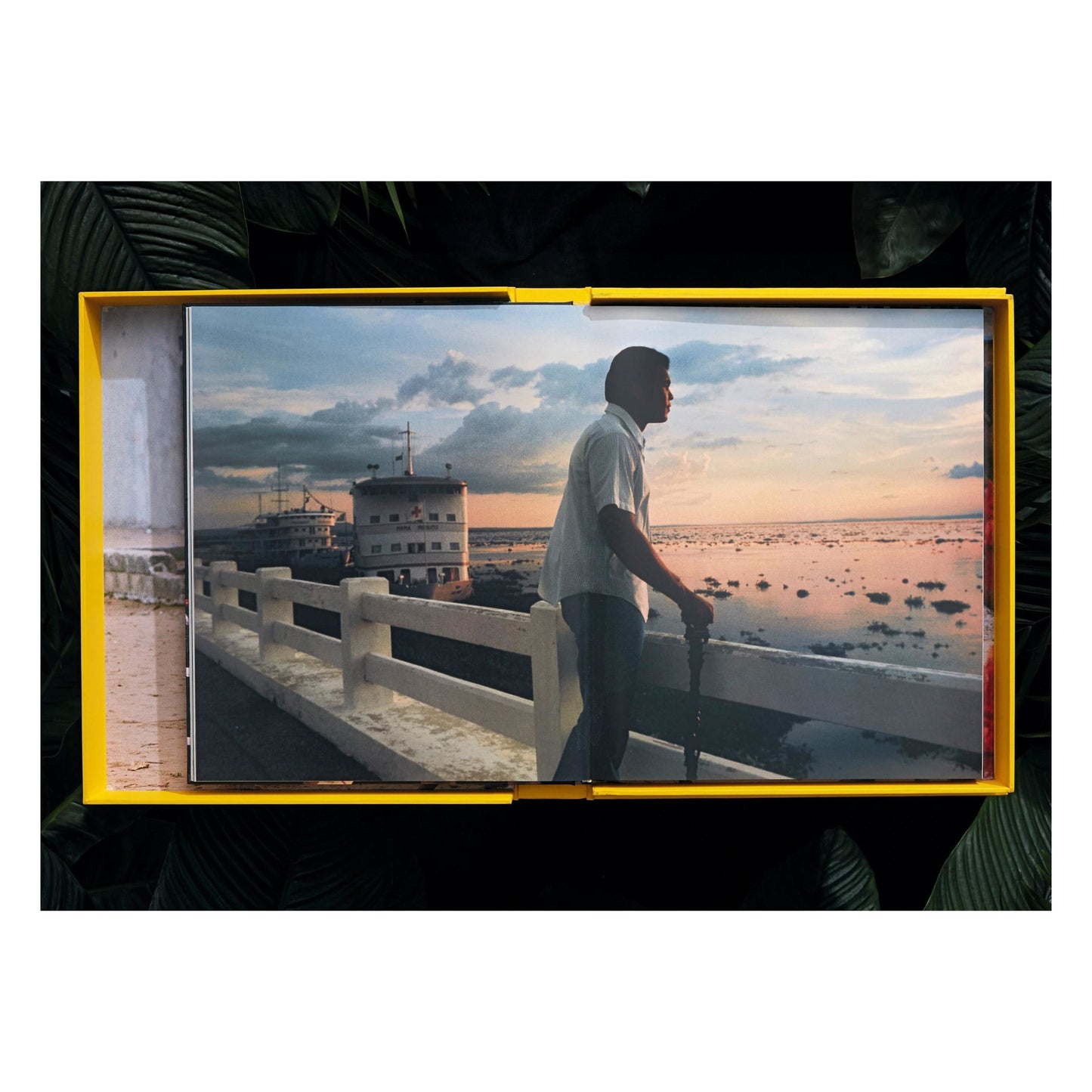 Norman Mailer. Neil Leifer. Howard L. Bingham. The Fight (English) (SA)