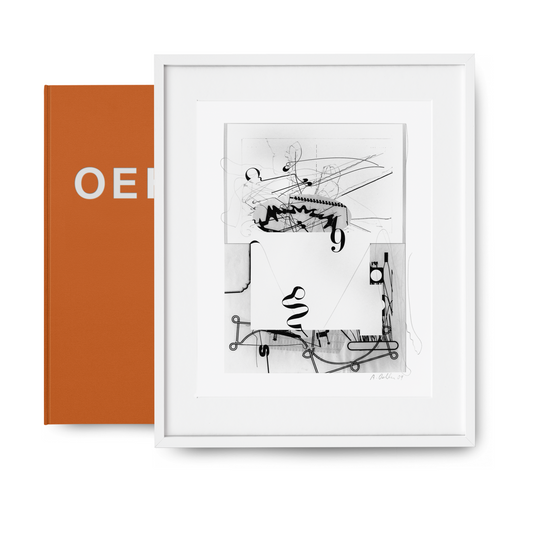Albert Oehlen. Art Edition (German, French, English)