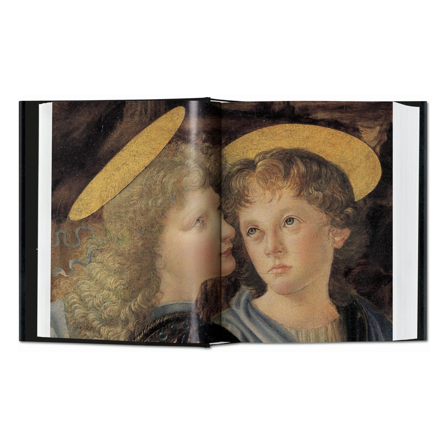 Leonardo. Sämtliche Gemälde. 40th Ed. (German)