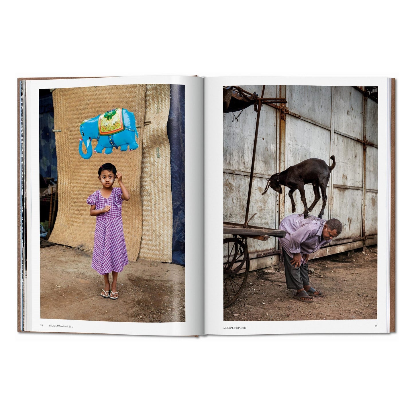 McCurry, Animals, Art B, Chennai (German, French, English) (AP)