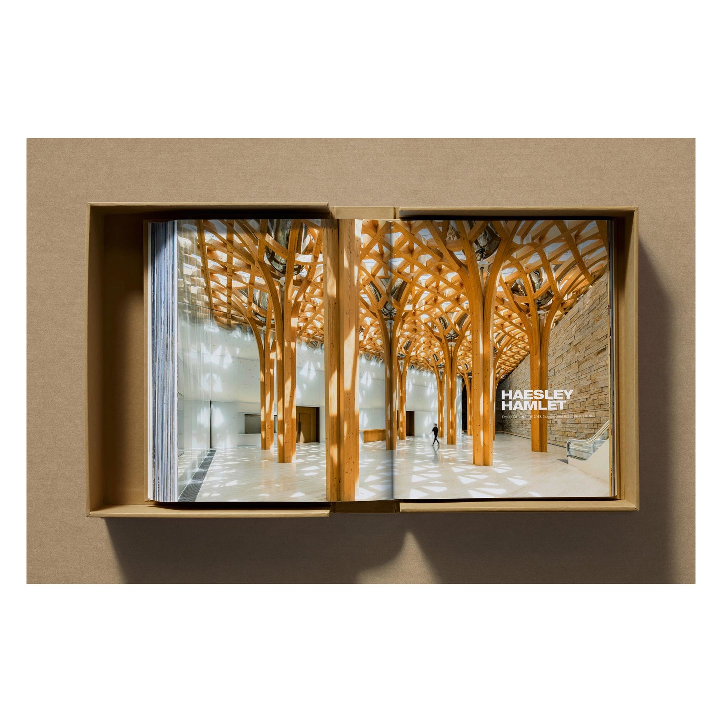 Shigeru Ban. Complete Works 1985–Today. Art Edition ‘Bamboo Gridshell Roof’, 2023 (German, French, English)