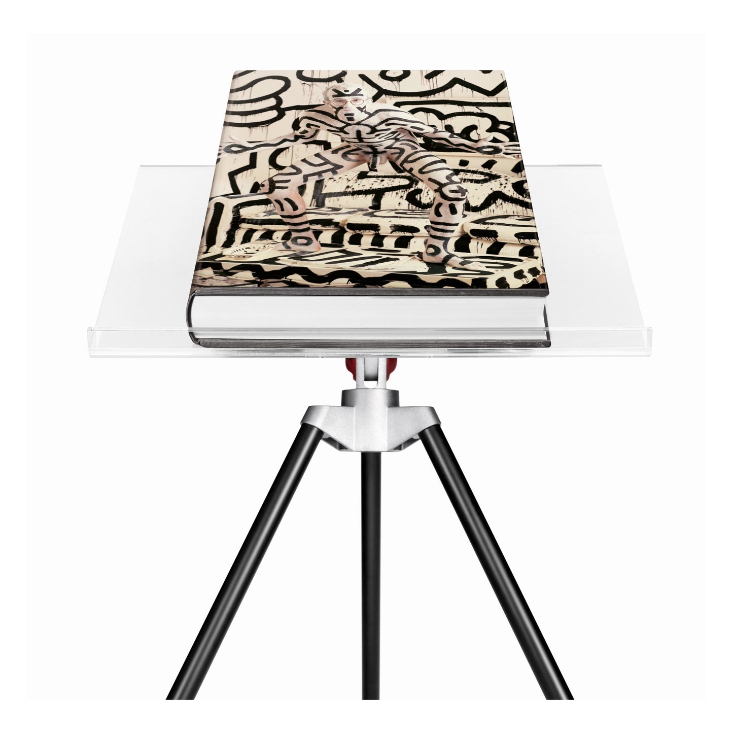 Annie Leibovitz. Art Edition 'Keith Haring' (German, French, English) (AP)