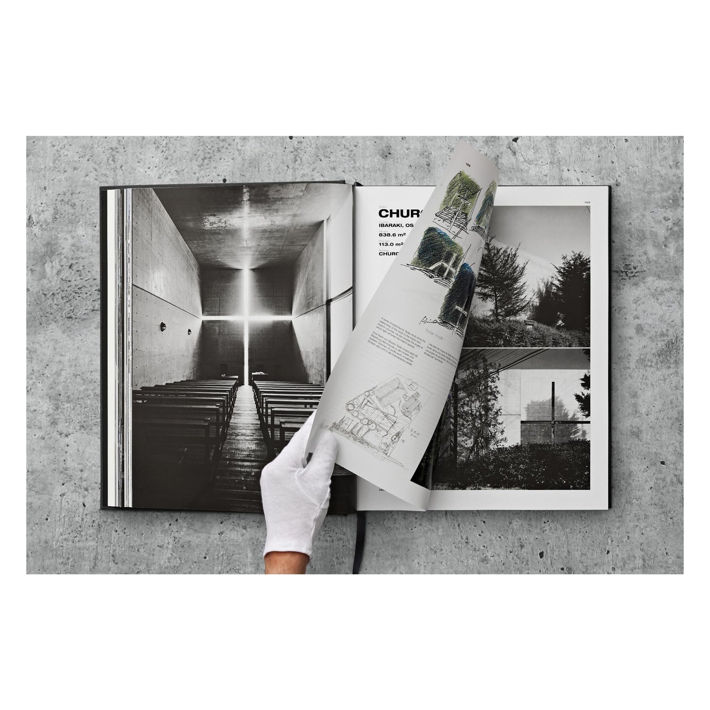 Ando. Complete Works 1975–Today. 2023 Edition (German, French, English)