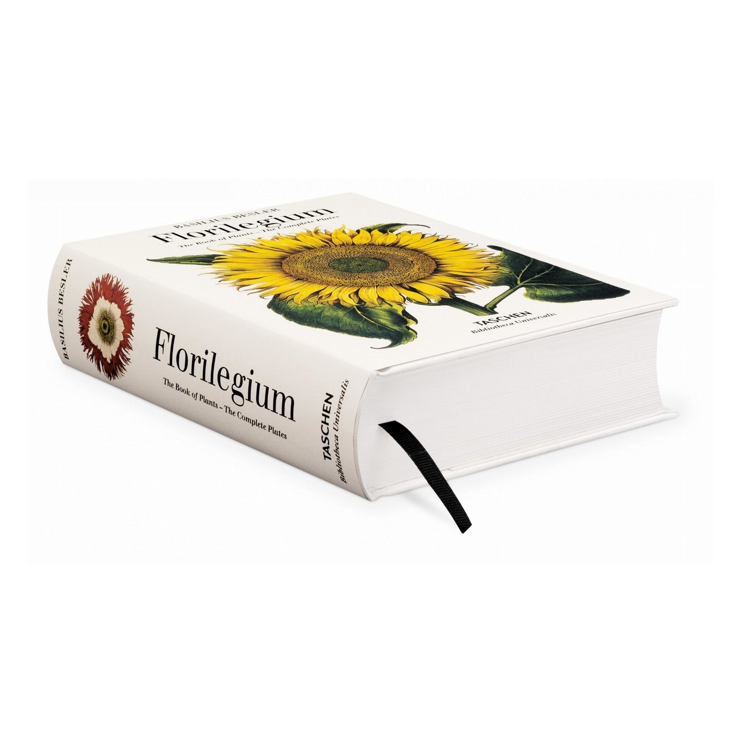 Basilius Besler. Der Garten von Eichstätt. Hortus Eystettensis (German)