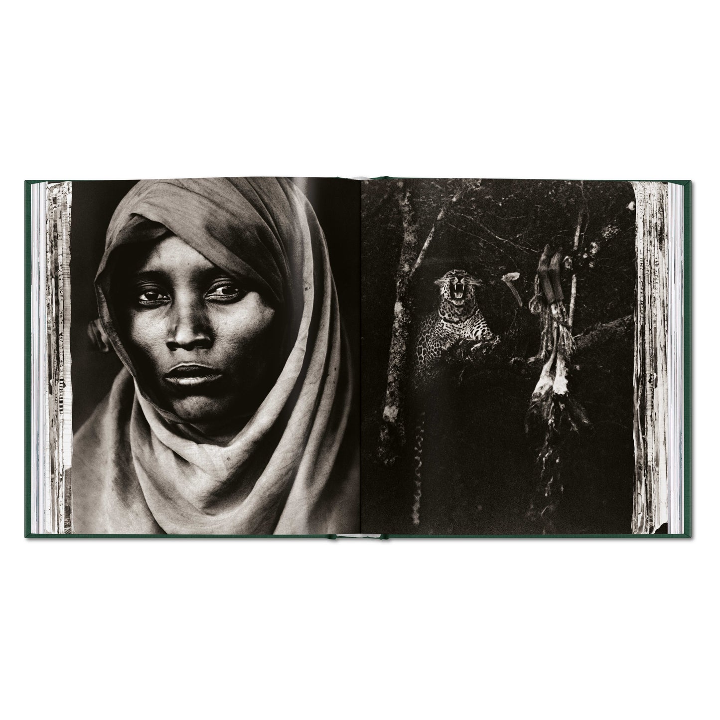 Peter Beard. The End of the Game (English)