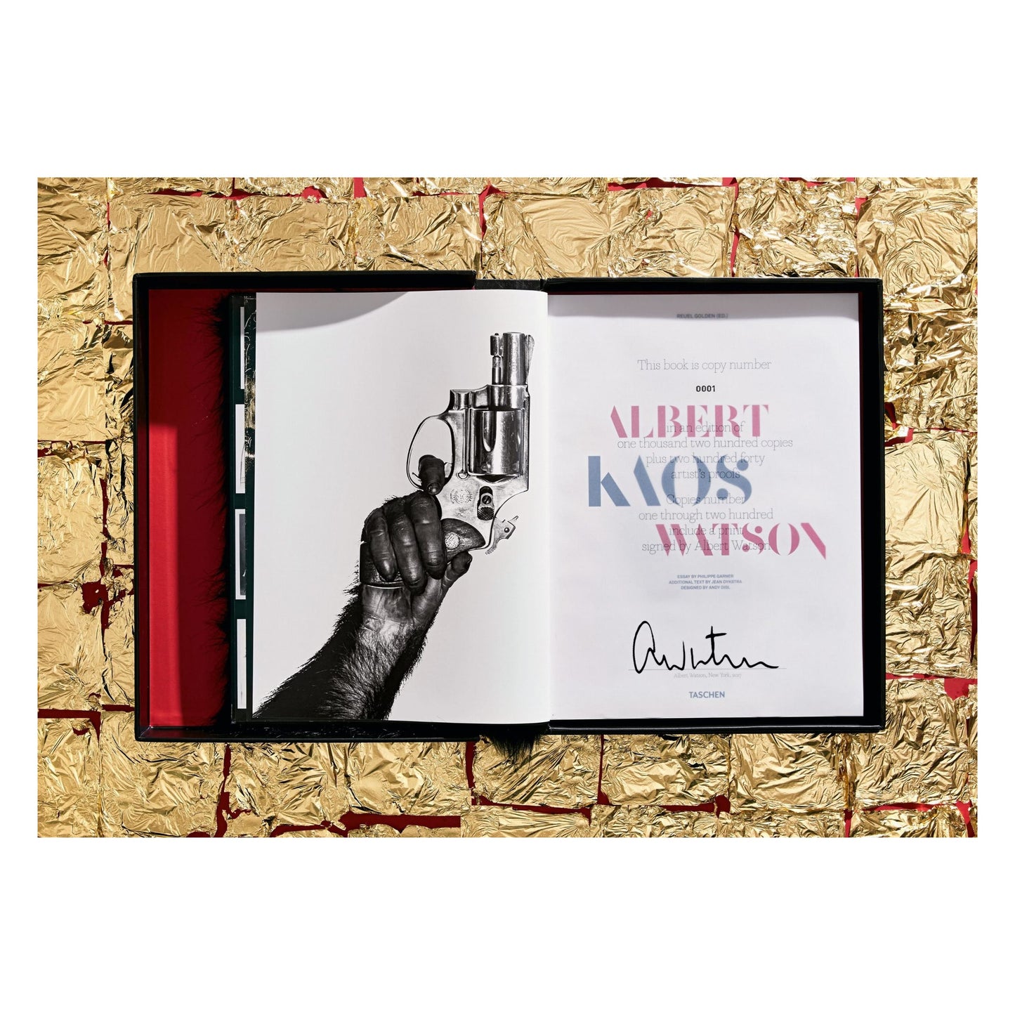 Albert Watson. Kaos (German, French, English) (SA)