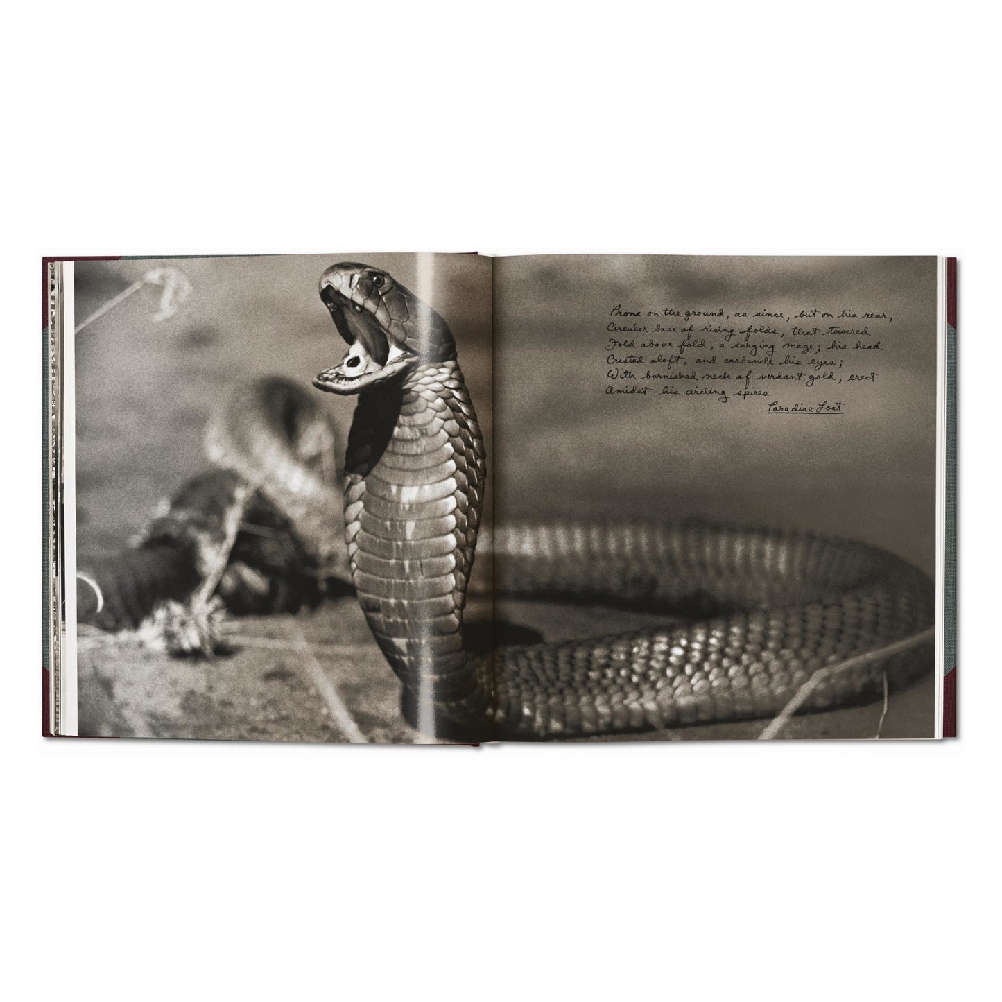 Peter Beard. The End of the Game. Revisited 2020 Edition (English)
