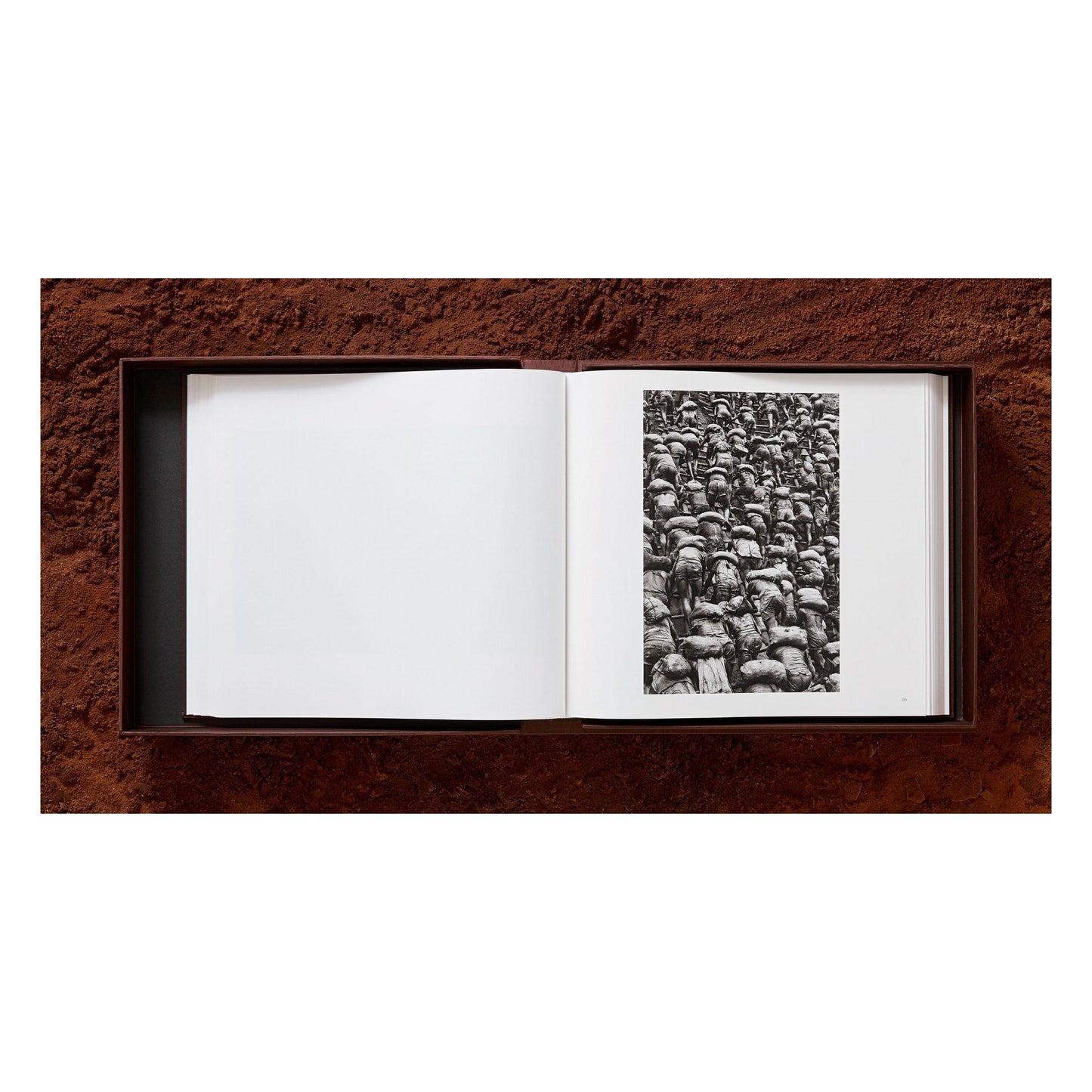 Sebastião Salgado. Gold (English) (SA)