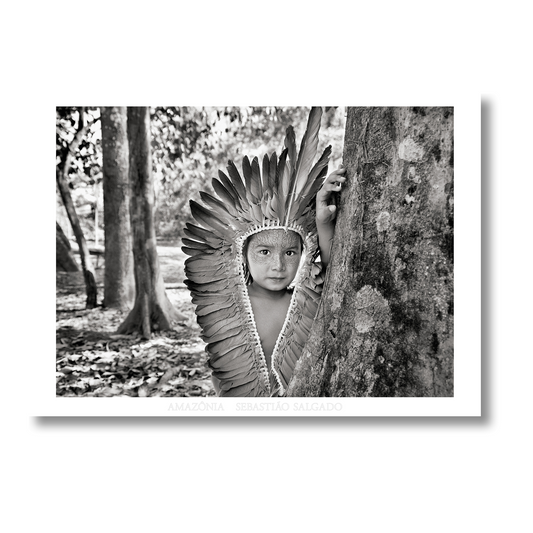 Sebastião Salgado. Amazônia. Poster ‘Yawanawa Girl’