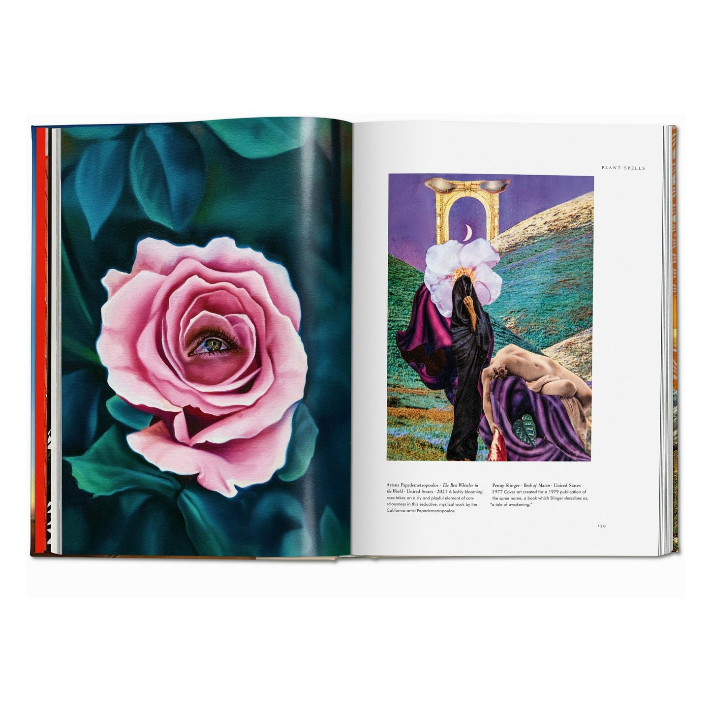 La magia de las plantas. La Biblioteca de Esoterismo (Spanish)