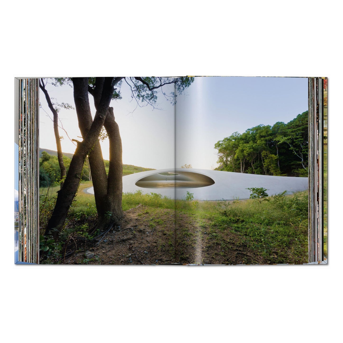 Contemporary Japanese Architecture. 45th Ed. (Spanish, English, Italian)