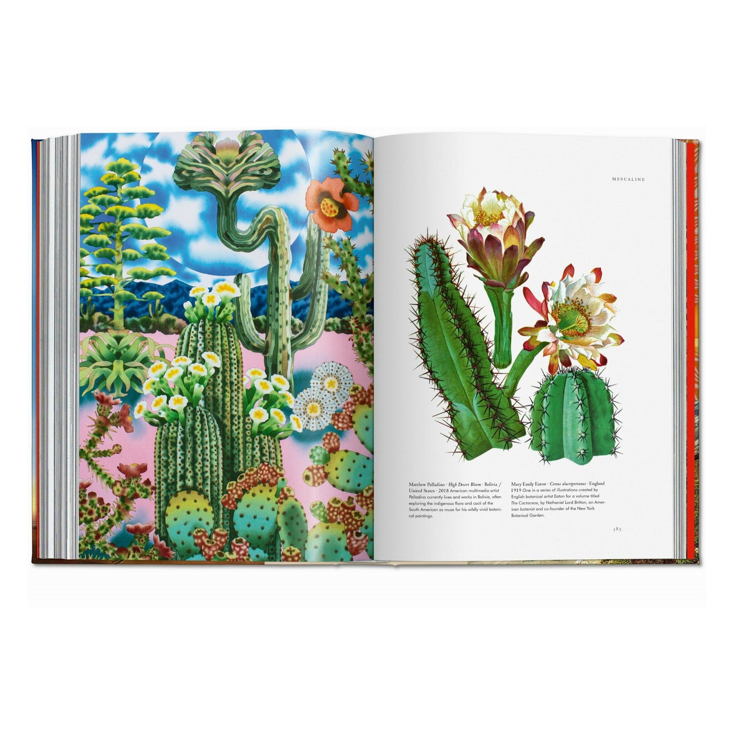 La magia de las plantas. La Biblioteca de Esoterismo (Spanish)