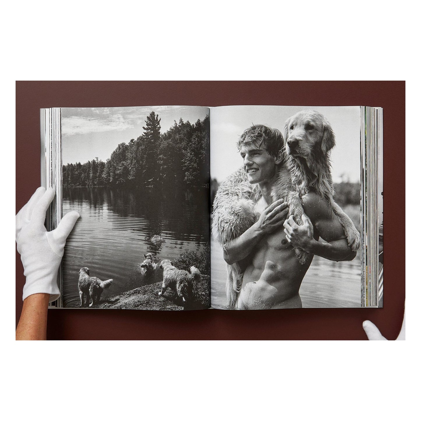Bruce Weber. The Golden Retriever Photographic Society. Art Edition No. 101–200 ‘Hud, New York City, 2011’ (German, French, English) (AP)