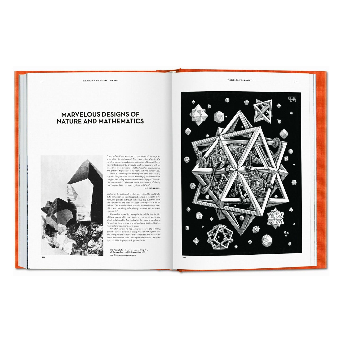 Der Zauberspiegel des M.C. Escher (German)