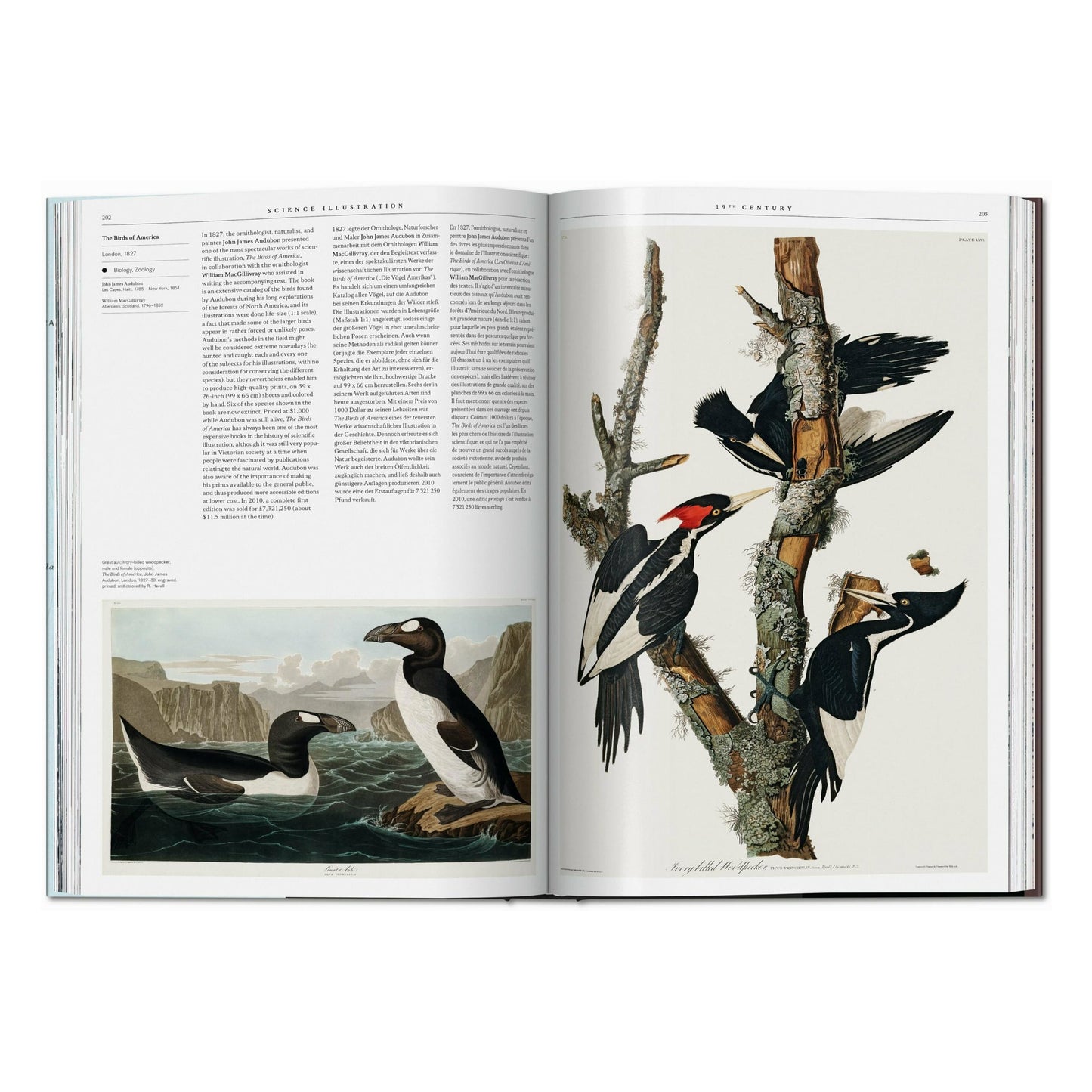 Science Illustration. A History of Visual Knowledge from the 15th Century to Today (German, French, English)