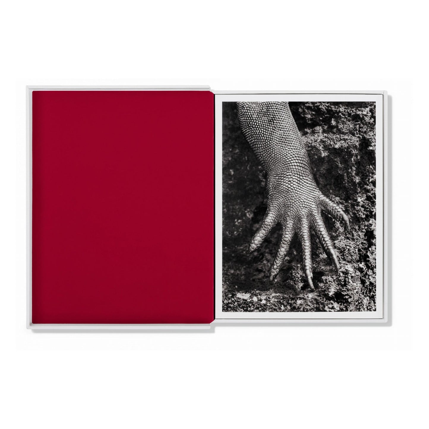 Sebastião Salgado. Genesis. Postcard Set (German, Spanish, French, English)