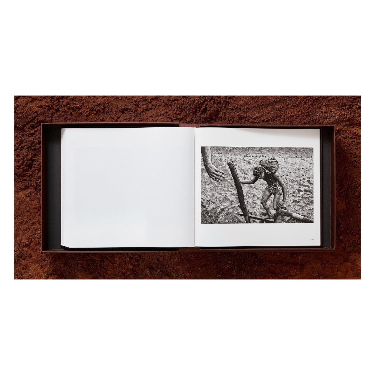 Sebastião Salgado. Gold (English)
