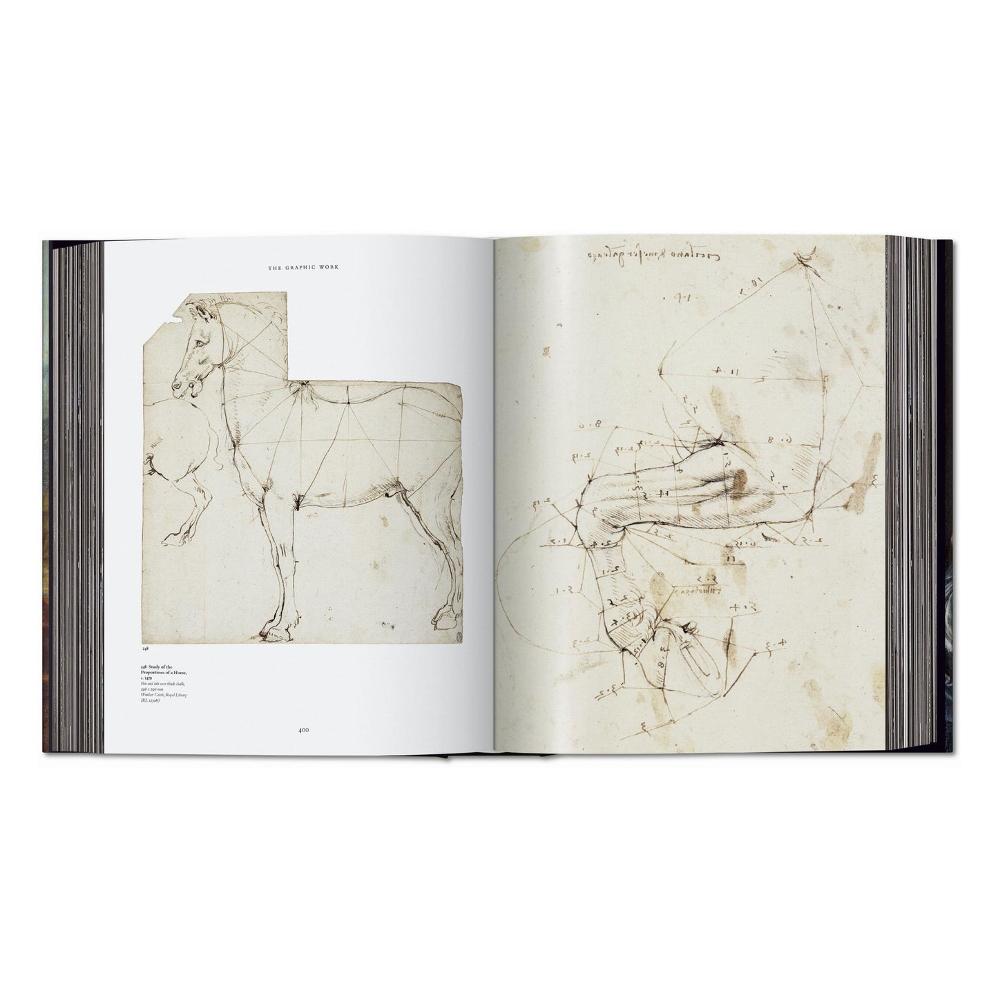 Leonardo. Tutti i dipinti e disegni (Italian)