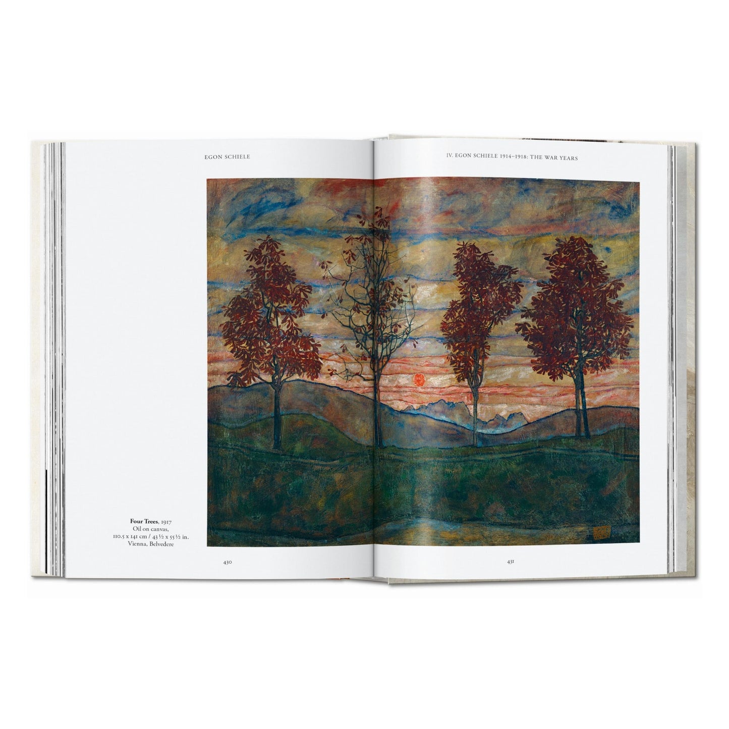 Egon Schiele. Las pinturas. 45th Ed. (Spanish)