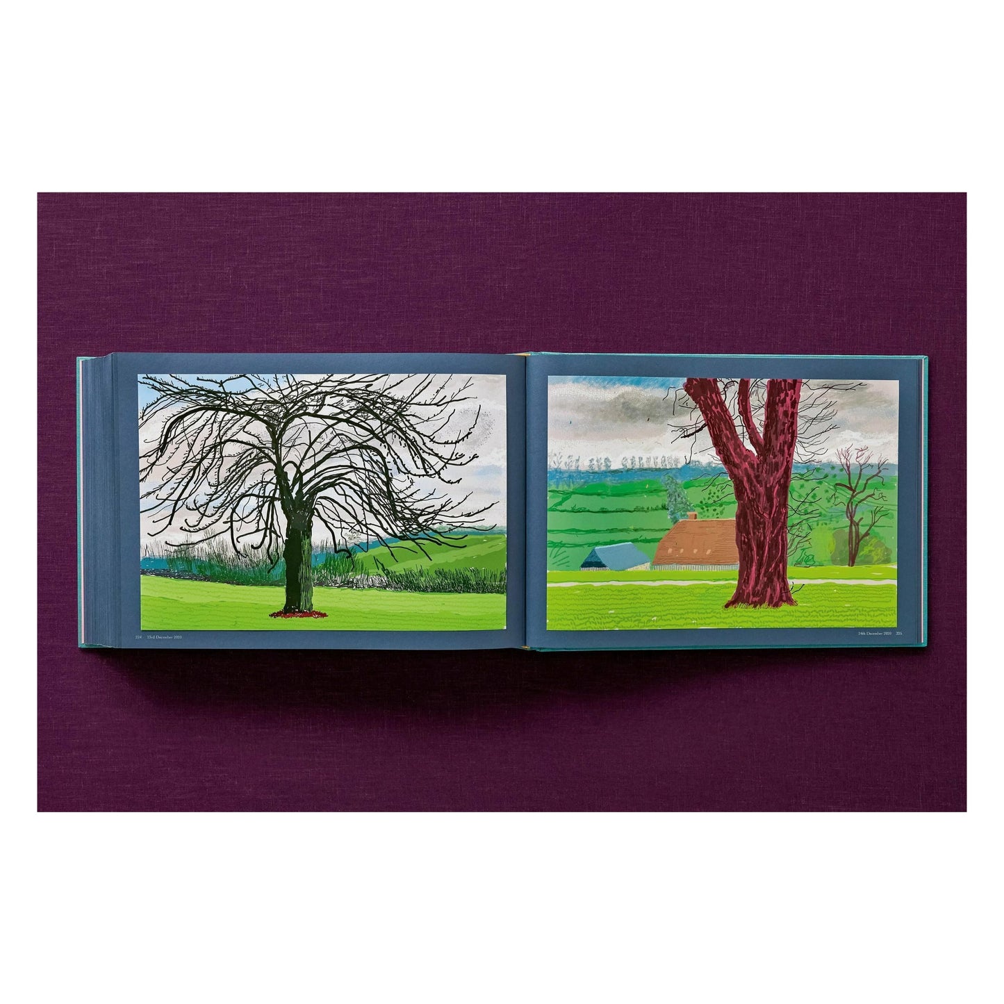 David Hockney. 220 for 2020. Art Edition No. 201–300 ‘Two Chairs and Rain on Window’ (English)