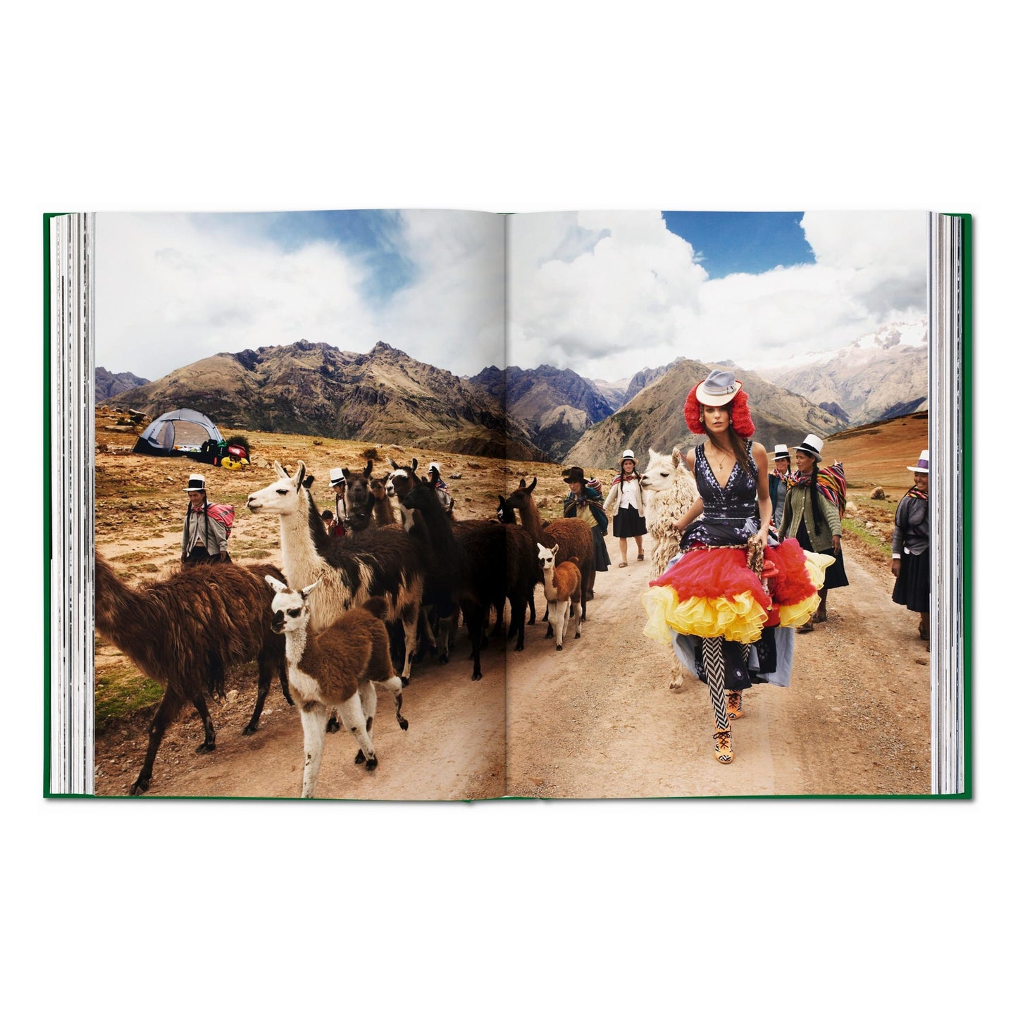 Mario Testino. Private View (English, Chinese)