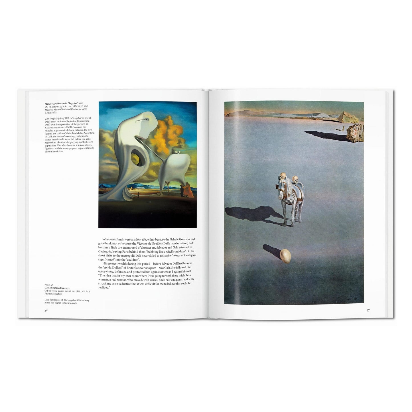 Dalí (Spanish)