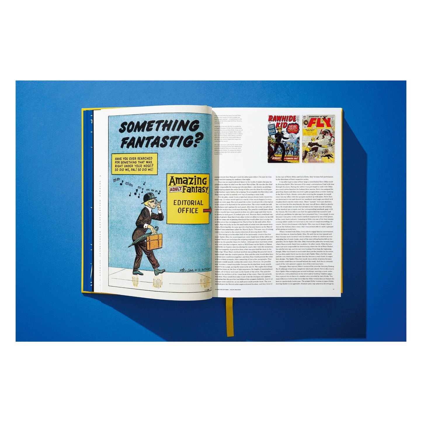 Marvel Comics Library, Spider-Man, Vol. 1, 1962-1964 (English) (AP)