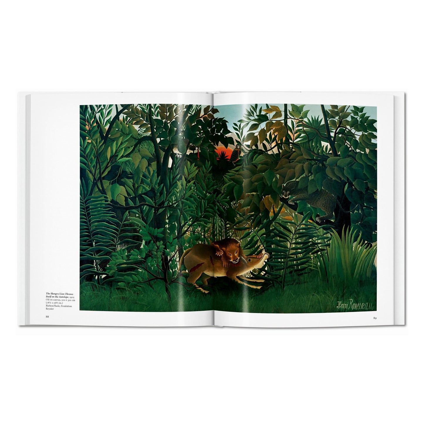 Rousseau (Italian)