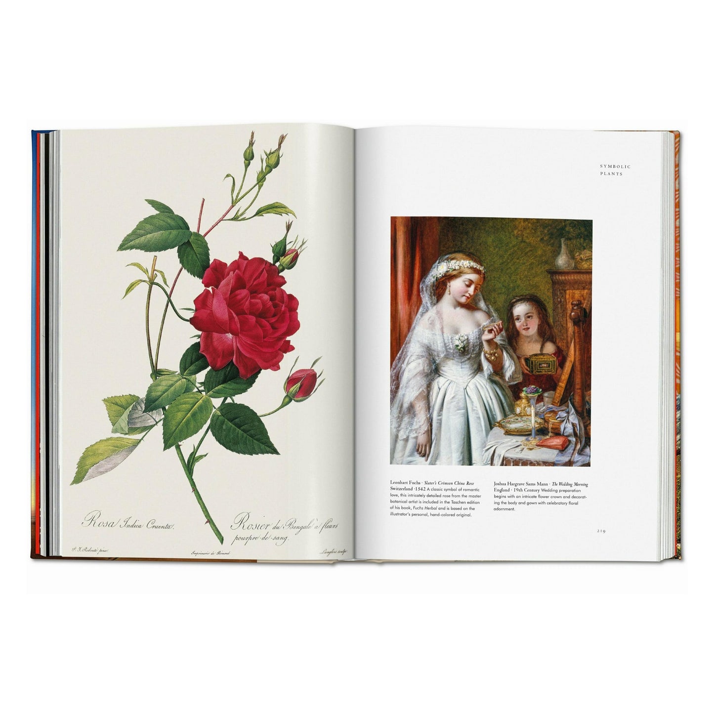La magia de las plantas. La Biblioteca de Esoterismo (Spanish)