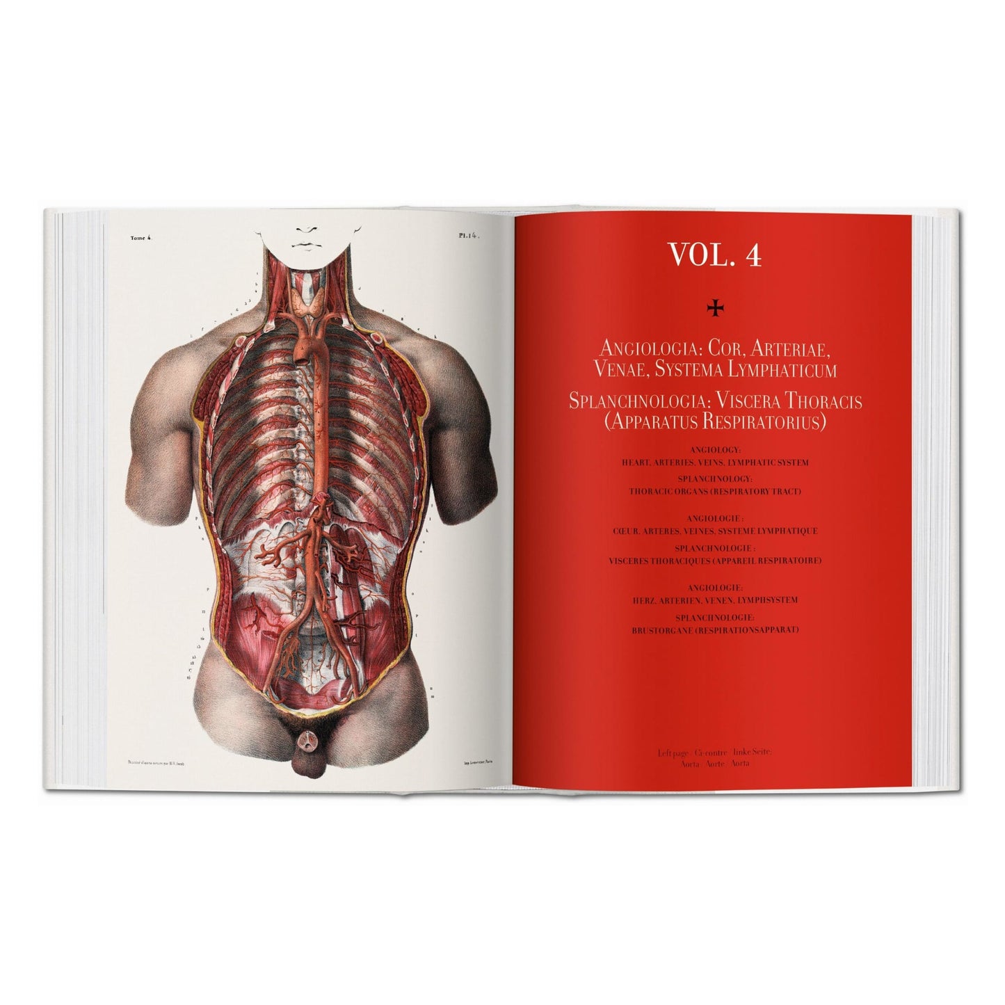 Bourgery. Atlas of Human Anatomy and Surgery (German, French, English)
