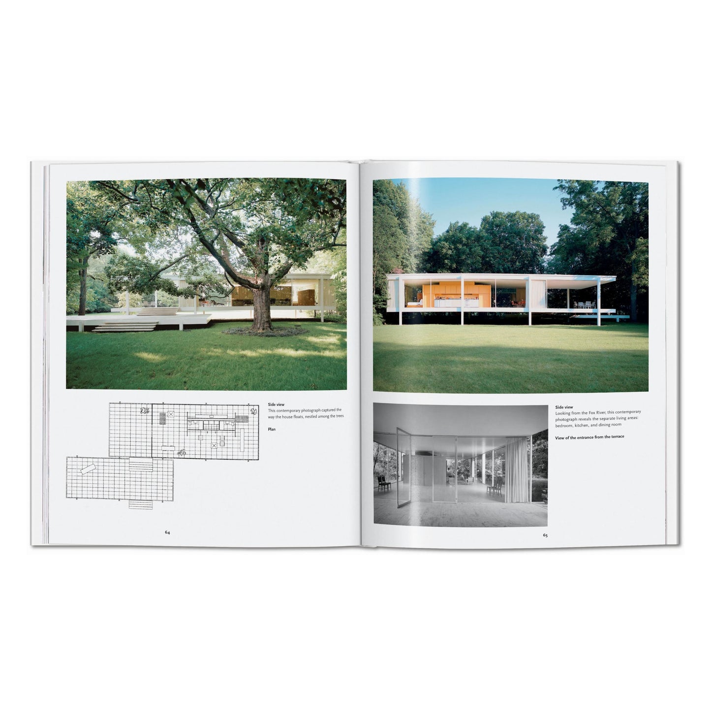 Mies van der Rohe (Spanish)