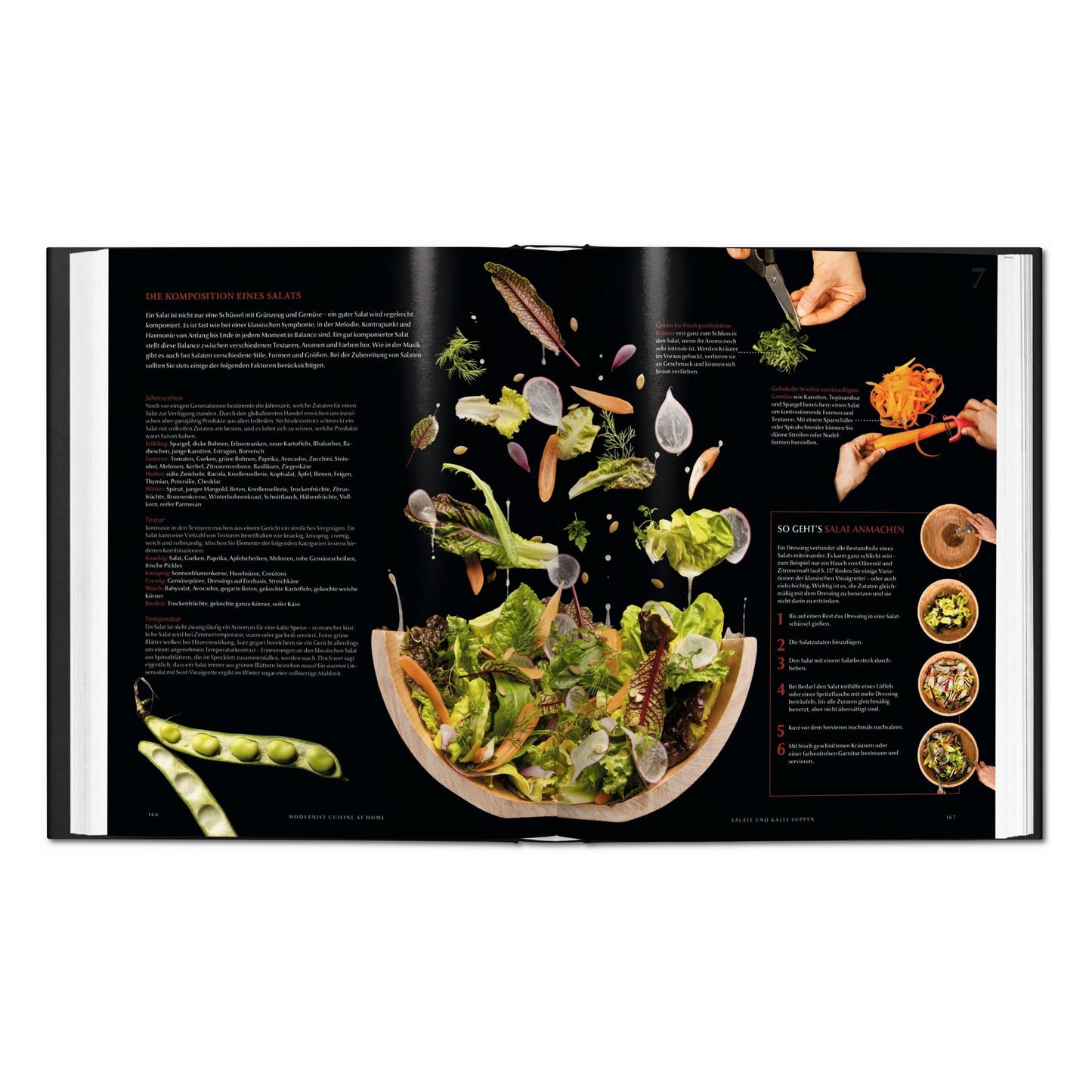 Modernist Cuisine at Home (French)