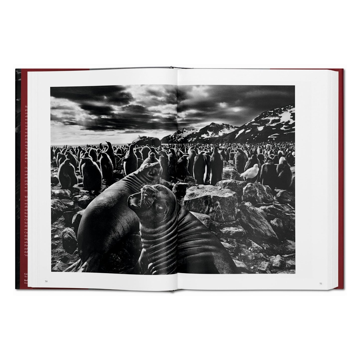 Sebastião Salgado. Génesis (Spanish)