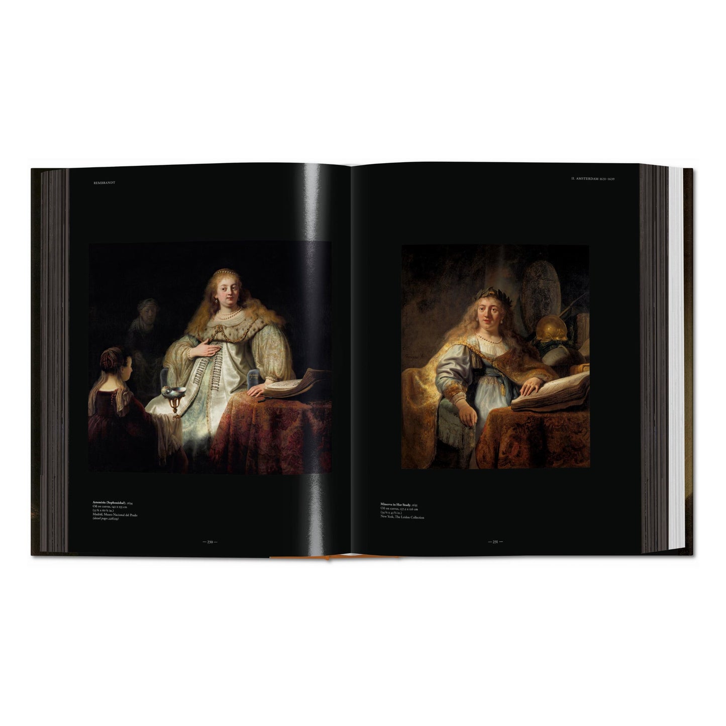 Rembrandt. Obra pictórica completa (Spanish)