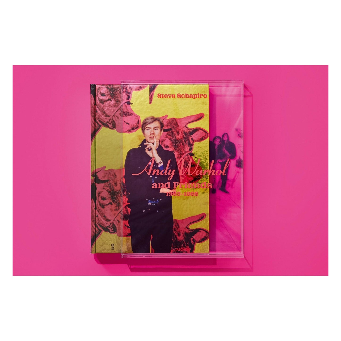 Steve Schapiro. Andy Warhol and Friends (English)