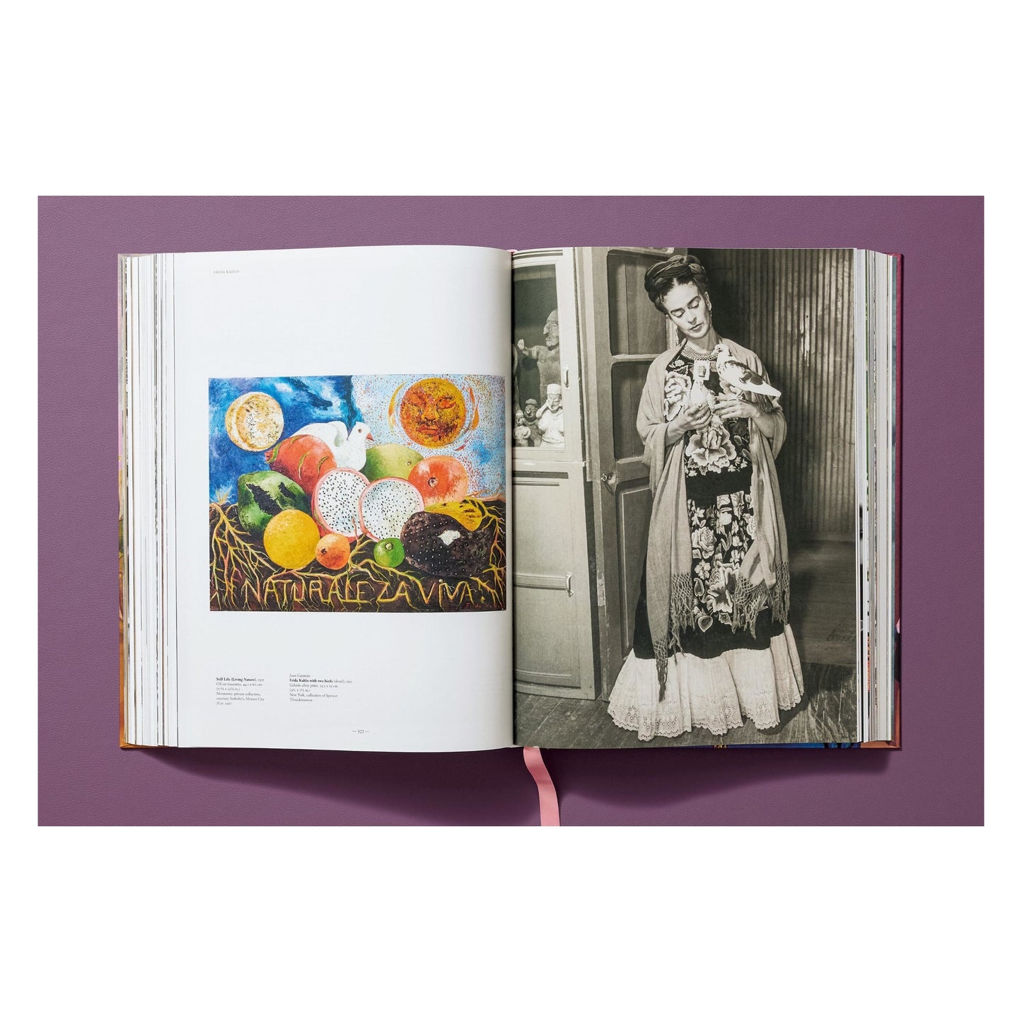 Frida Kahlo. Obra pictórica completa (Spanish)