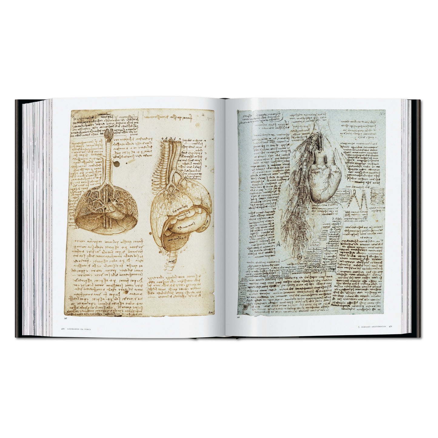 Leonardo. Obra pictórica completa y obra gráfica (Spanish)