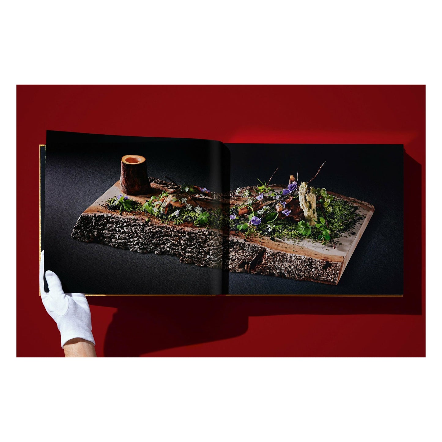 Yoshihiro Narisawa. Satoyama Cuisine (English) (SA)